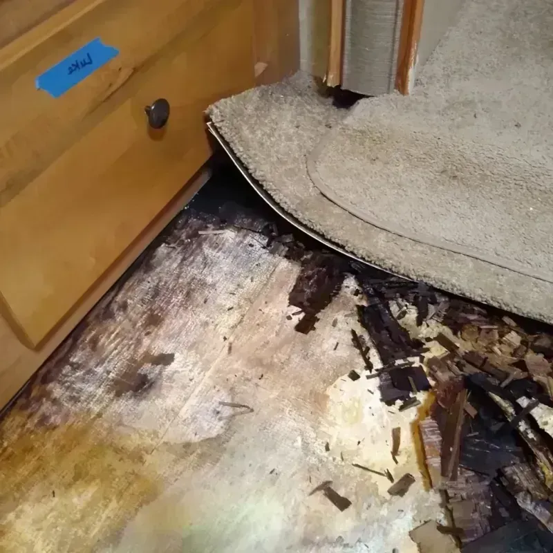 Best Wood Floor Water Damage Service in East Port Orchard, WA